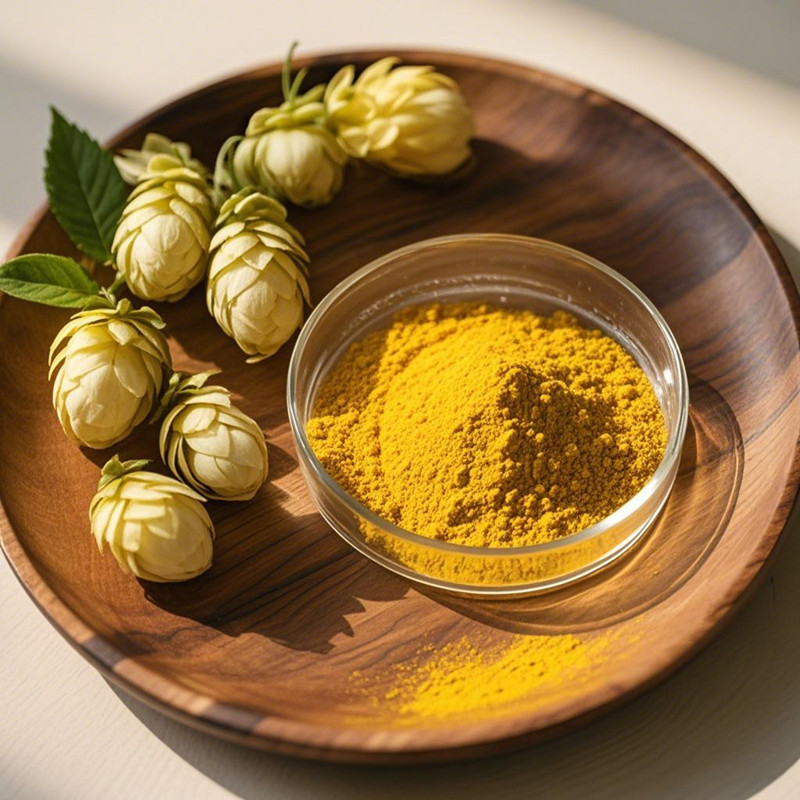 Bulk Xanthohumol Supplier