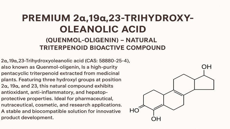 2alpha,19alpha,23-Trihydroxyoleanolic acid